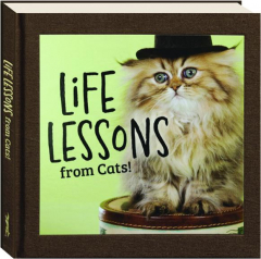 LIFE LESSONS FROM CATS!