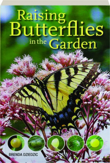 RAISING BUTTERFLIES IN THE GARDEN