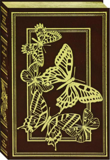 ANGELS & INSECTS
