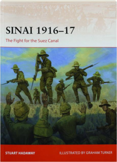 SINAI 1916-17: Campaign 421