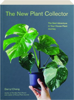 THE NEW PLANT COLLECTOR: The Next Adventure in Your House Plant Journey