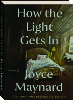 HOW THE LIGHT GETS IN