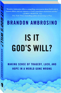 IS IT GOD'S WILL? Making Sense of Tragedy, Luck, and Hope in a World Gone Wrong