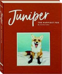 JUNIPER: The Happiest Fox