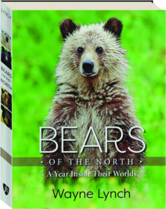 BEARS OF THE NORTH: A Year Inside Their Worlds