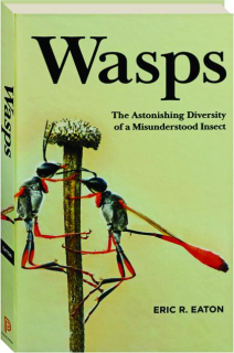 WASPS: The Astonishing Diversity of a Misunderstood Insect