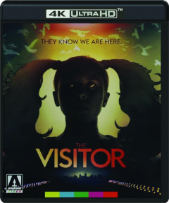 THE VISITOR