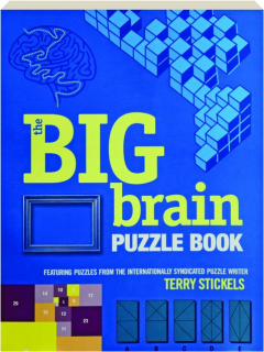 THE BIG BRAIN PUZZLE BOOK