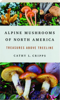 ALPINE MUSHROOMS OF NORTH AMERICA: Treasures Above Treeline