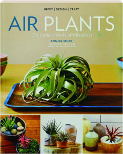 AIR PLANTS: The Curious World of Tillandsias
