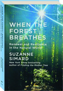 WHEN THE FOREST BREATHES: Renewal and Resilience in the Natural World