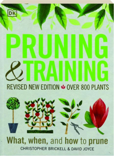 PRUNING & TRAINING, REVISED EDITION: What, When, and How to Prune