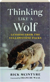 THINKING LIKE A WOLF: Lessons from the Yellowstone Packs