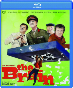 THE BRAIN