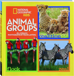 ANIMAL GROUPS