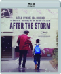 AFTER THE STORM - Thumb 1