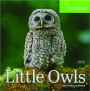 2024 AUDUBON LITTLE OWLS MINI CALENDAR - Thumb 1