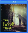 THE HIDDEN LIFE OF TREES - Thumb 1