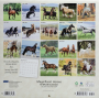 2024 MAGNIFICENT HORSES CALENDAR - Thumb 2