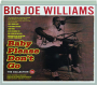 BIG JOE WILLIAMS: Baby Please Don't Go - Thumb 1