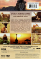 SERENGETI II - Thumb 2