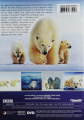 SNOW BEARS - Thumb 2