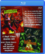 THE WARRIOR AND THE BLIND SWORDSMAN / THE WARRIOR AND THE NINJA - Thumb 1