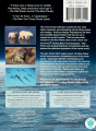 PLANET EARTH / THE BLUE PLANET: Seas of Life - Thumb 2