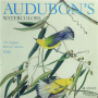 2026 AUDUBON'S WATERCOLORS CALENDAR: The Original Birds of America - Thumb 1