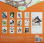 2026 SIBLEY'S BIRDS OF NORTH AMERICA CALENDAR - Thumb 2