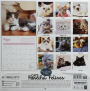 2026 CATS FANCIFUL FELINES CALENDAR - Thumb 2