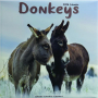 2026 DONKEYS CALENDAR - Thumb 1