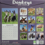 2026 DONKEYS CALENDAR - Thumb 2