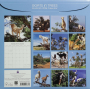 2026 GOATS IN TREES CALENDAR - Thumb 2
