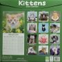 2026 KITTENS CALENDAR - Thumb 2