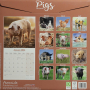 2026 PIGS CALENDAR - Thumb 2