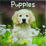 2026 PUPPIES CALENDAR - Thumb 1