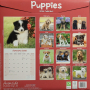2026 PUPPIES CALENDAR - Thumb 2