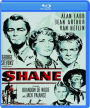 SHANE - Thumb 1