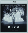 THE PAINTED BIRD - Thumb 1