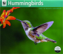 2026 WWF HUMMINGBIRDS CALENDAR - Thumb 1