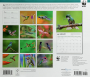2026 WWF HUMMINGBIRDS CALENDAR - Thumb 2