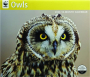 2026 WWF OWLS CALENDAR - Thumb 1