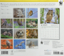 2026 WWF OWLS CALENDAR - Thumb 2
