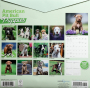 2026 AMERICAN PIT BULL TERRIER PUPPIES CALENDAR - Thumb 2