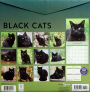 2026 BLACK CATS CALENDAR - Thumb 2