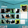 2026 BLACK KITTENS CALENDAR - Thumb 2