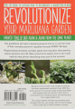 CANNABIS REGENERATION: A Multiple Harvest Method for Greater Yields - Thumb 2