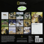 2027 NATIONAL GEOGRAPHIC WOLVES CALENDAR - Thumb 2