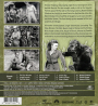 PANTHER GIRL OF THE KONGO - Thumb 2